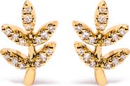 Haus of Brilliance 10K Yellow Gold 1/10 Cttw Diamond Accented Leaf and Branch Stud Earrings