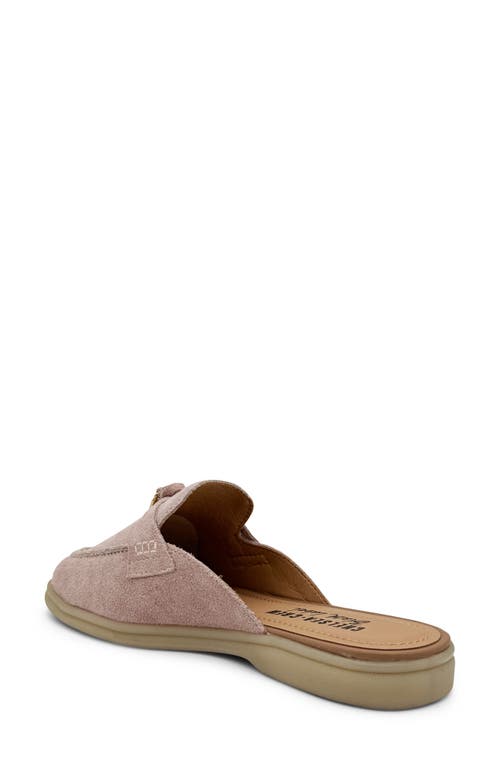 Chelsea Crew Lasso Mule Loafer