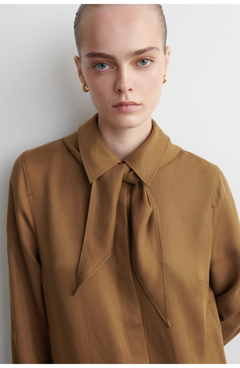 COS Scarf-Detail Dropped-Waist Mini Dress, Alternate, color, Brown