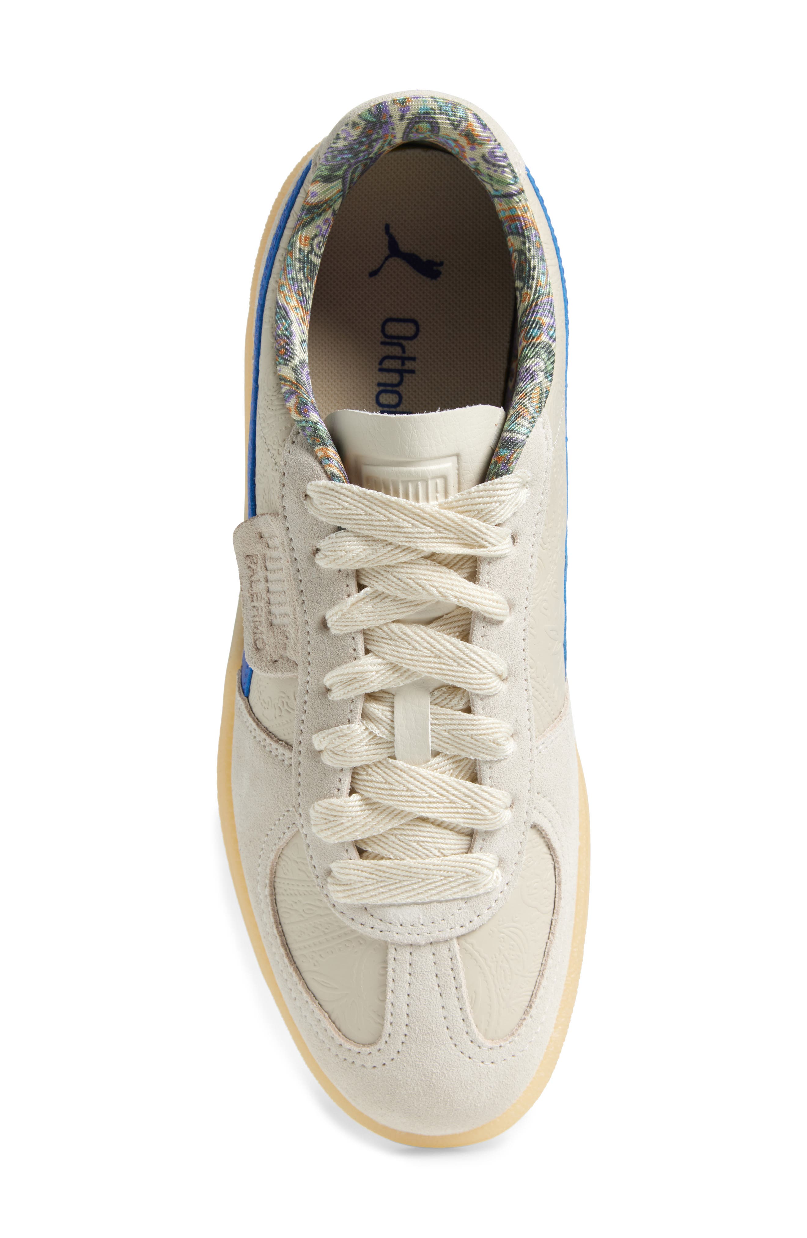 Palermo Bomber Sneaker, Alternate, color, ALPINE SNOW-VIVID BLUE