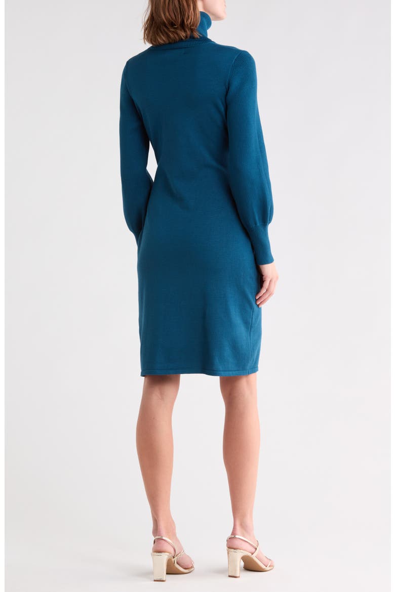 Turtleneck Long Sleeve Belted Sweater Dress, Alternate, color, TEAL