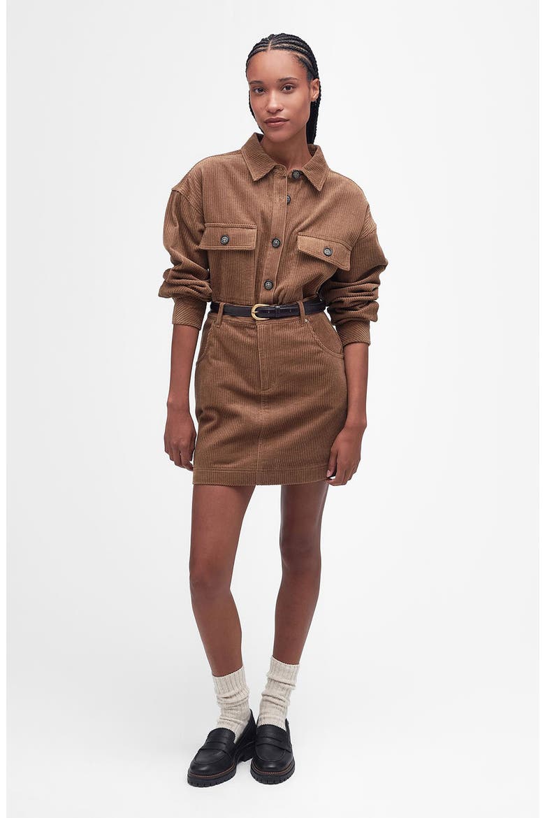 Oakfield Corduroy Skirt, Alternate, color, TAUPE