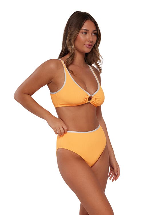 Pacifica By Sunsets Oceana Bikini Swimsuit Top