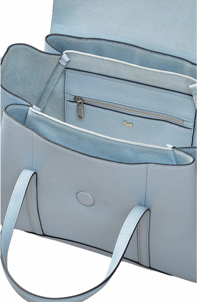 Radley The Chancery Medium Flapover Satchel Bag, Alternate, color,