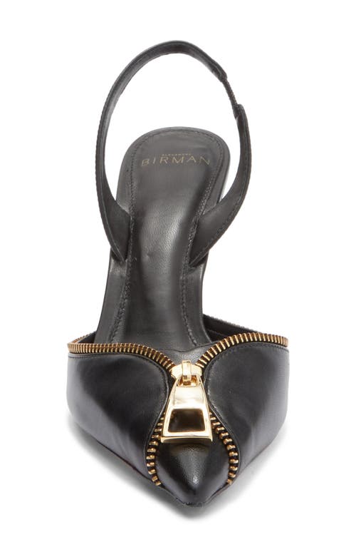 Alexandre Birman Zoe Zipper Pointed Toe Pump In Black