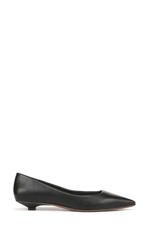 Franco Sarto Prella Pointed Toe Kitten Heel Pump In Black