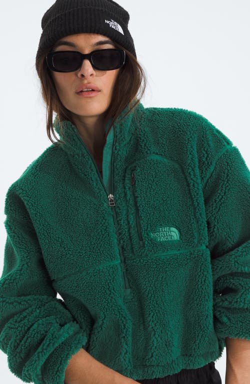 The North Face Extreme Pile 2 Fleece Half Zip Pullover In Green