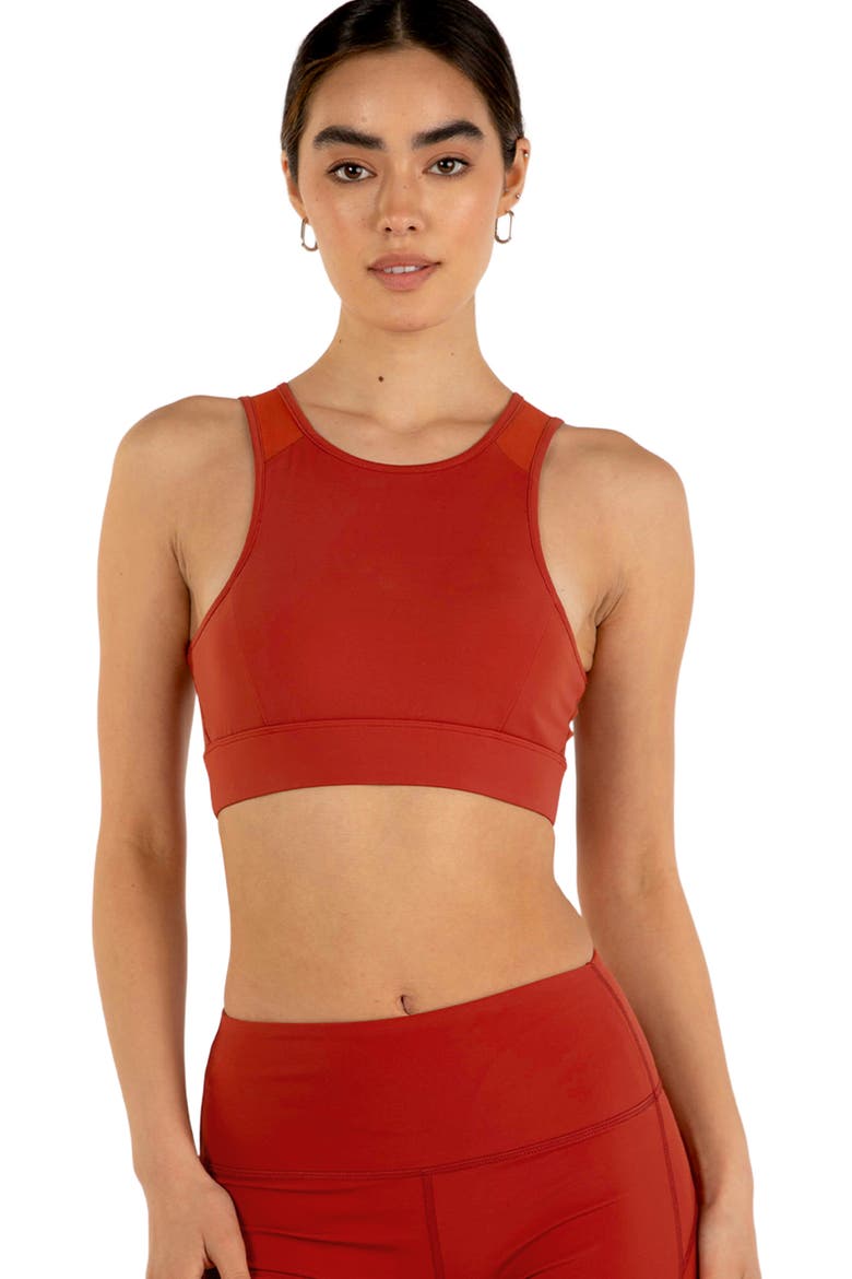 Venti Mesh Longline Silkiflex Longline Bra, Alternate, color, Mars Red
