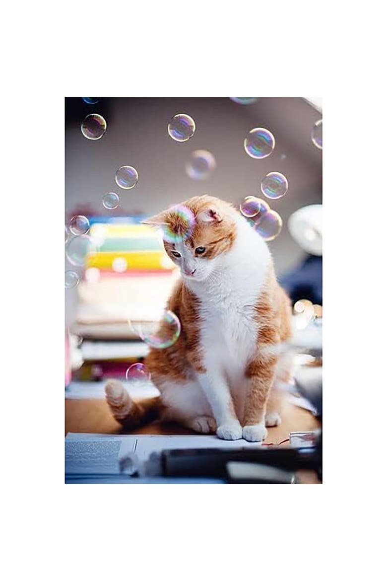 Kitty Love Calming Bubbles, 2 Pack, Alternate, color, Multicolored