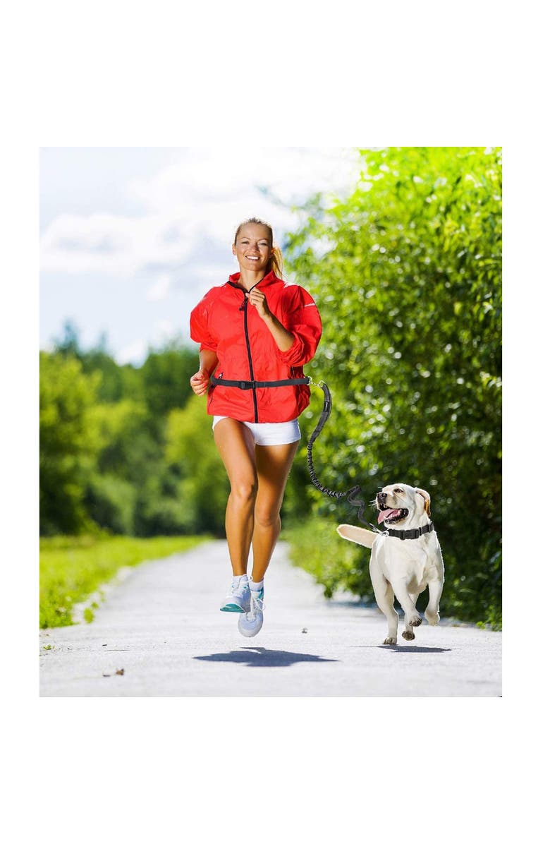 JESPET Hands Free Bungee Dog Leash Green, Medlg Dogs, Up To 150Lb, Alternate, color, Green