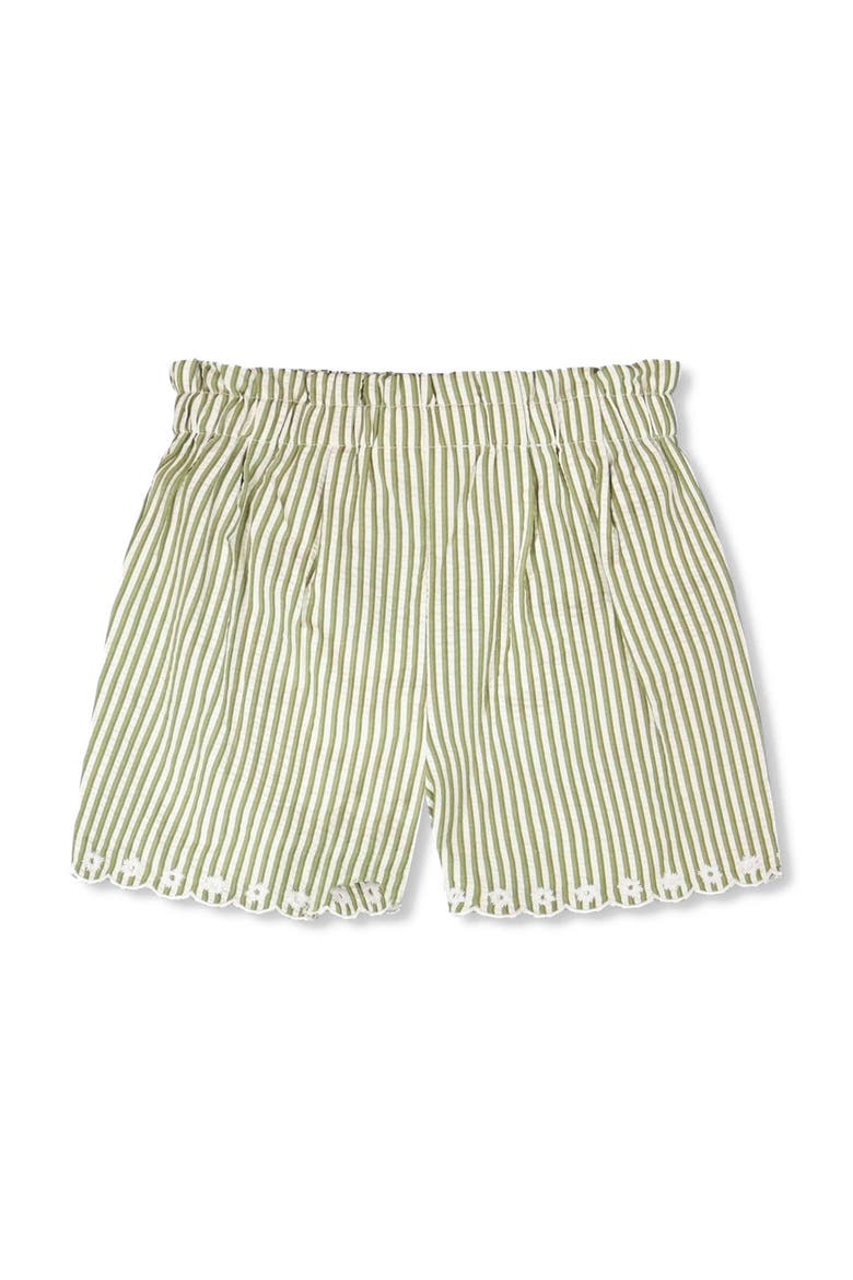 Stripes with Embroidery Flared Shorts, Alternate, color, Green & Off White Stripes