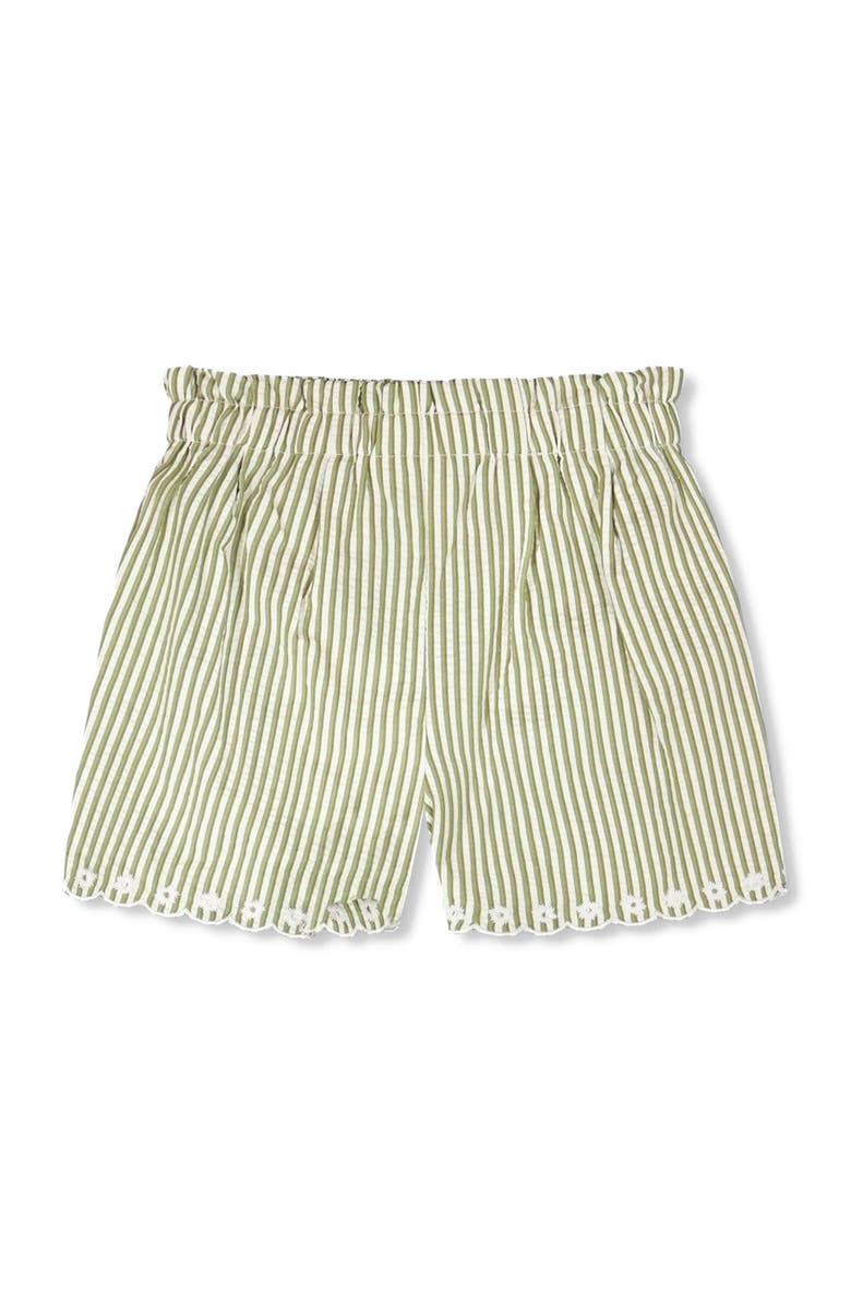 Deux par Deux Stripes with Embroidery Flared Shorts, Alternate, color, Green & Off White Stripes