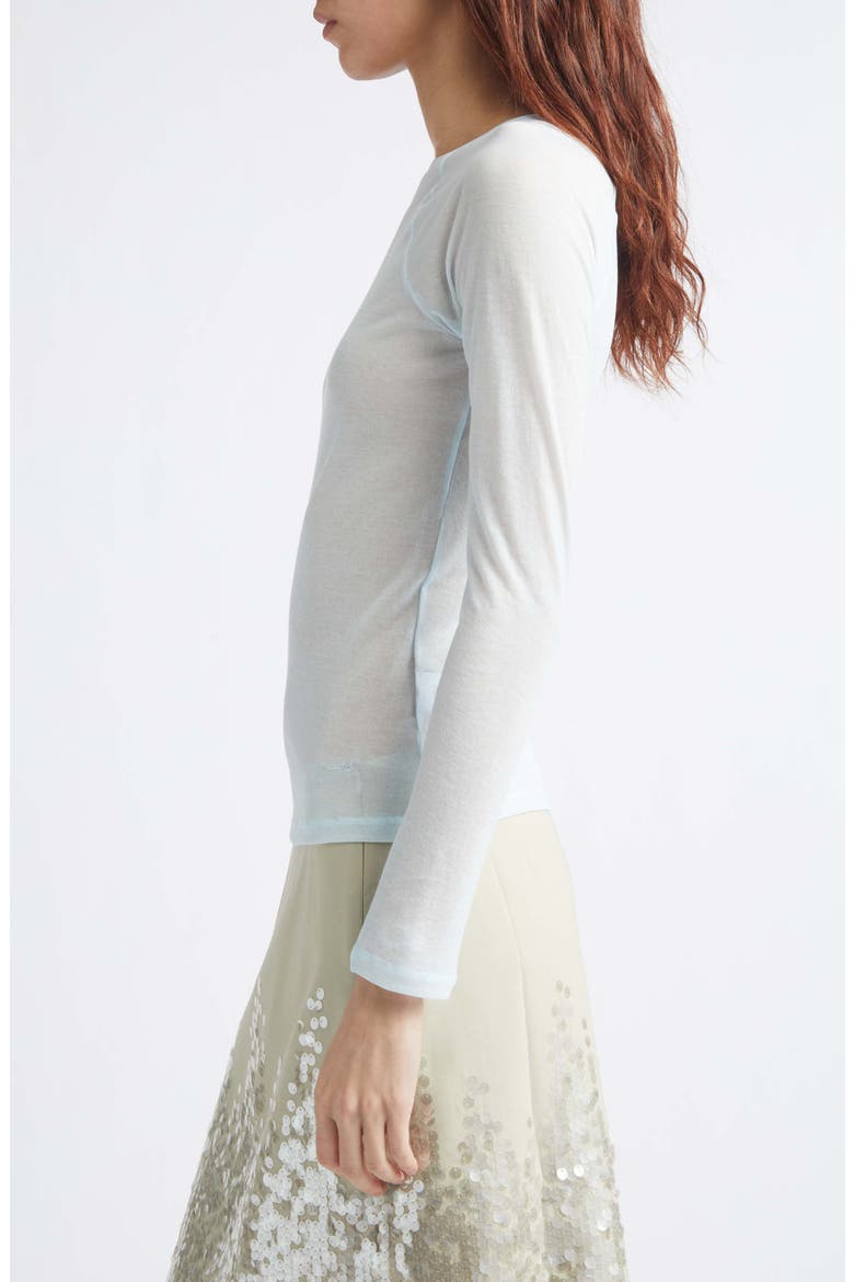Hiro Raglan Sleeve Top, Alternate, color, BLUE