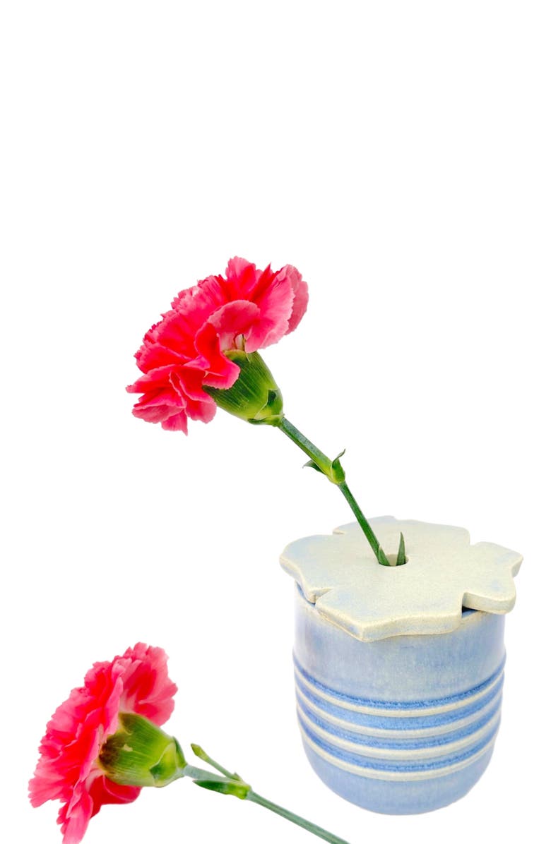 Mikkarbo Hunny "Vaso", Alternate, color, 