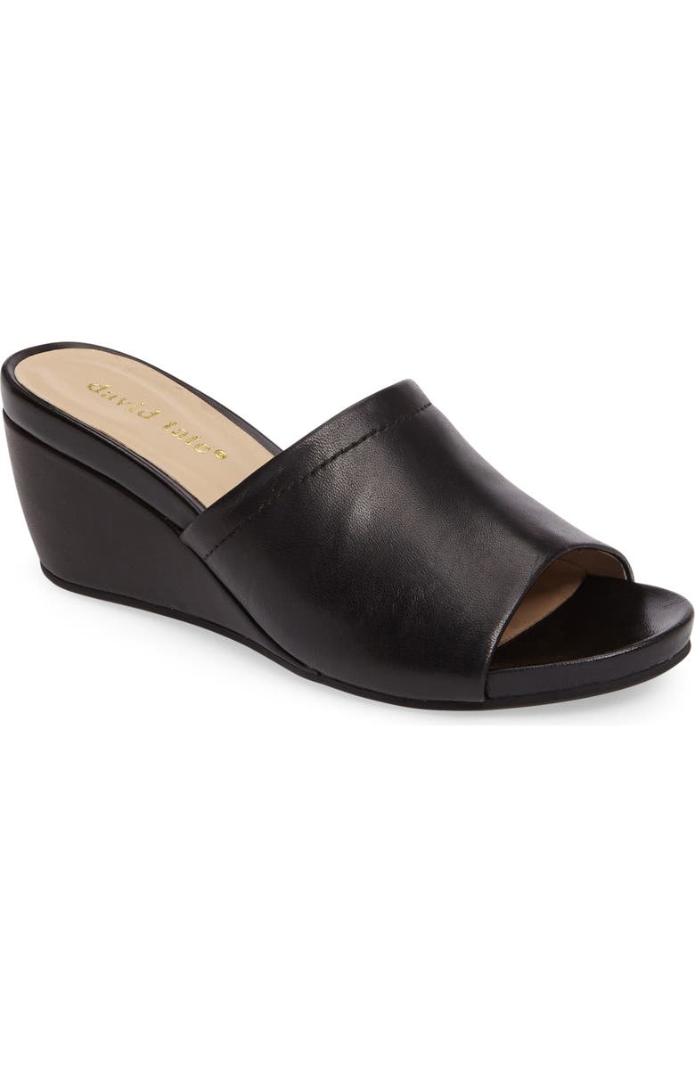 David Tate Mint Wedge Slide Sandal, Main, color,