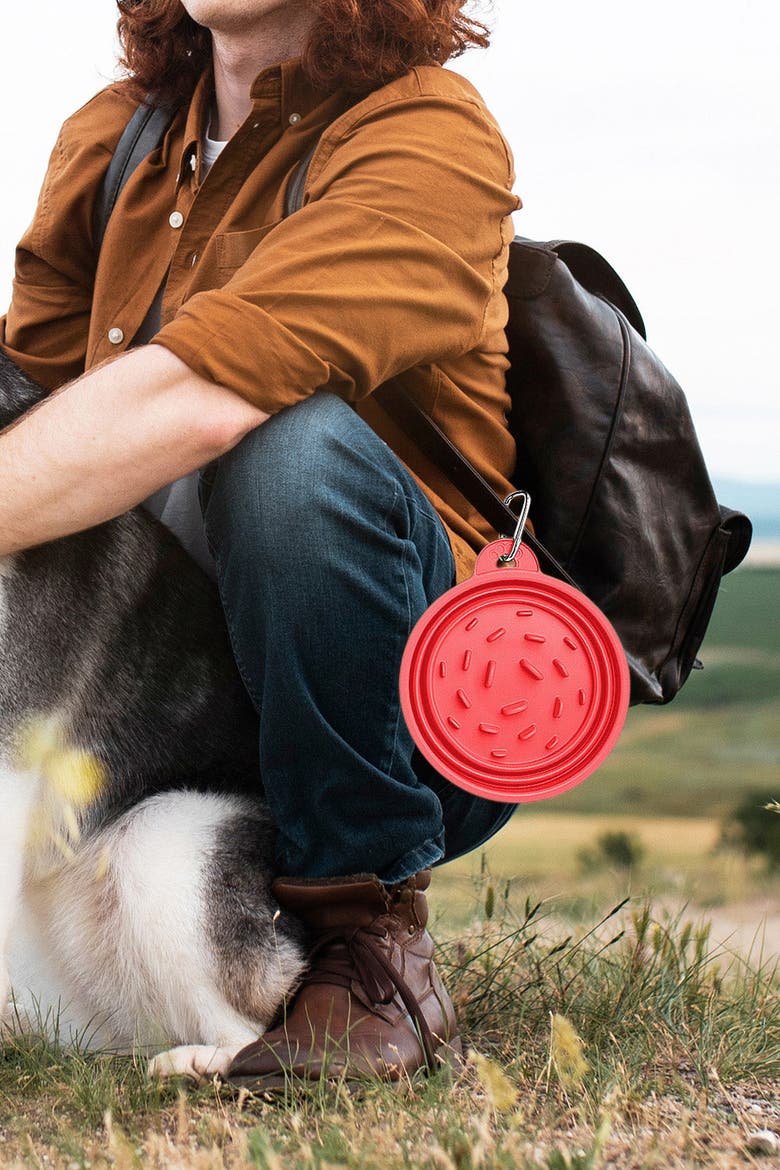 Slow-Feeding, BPA-Free Silicone Travel Dog Bowl, Alternate, color, Ruby Red