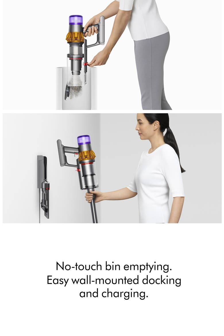 v15 Detect™ Vaccum - Iron/Nickel - Refurbished, Alternate, color, MULTI