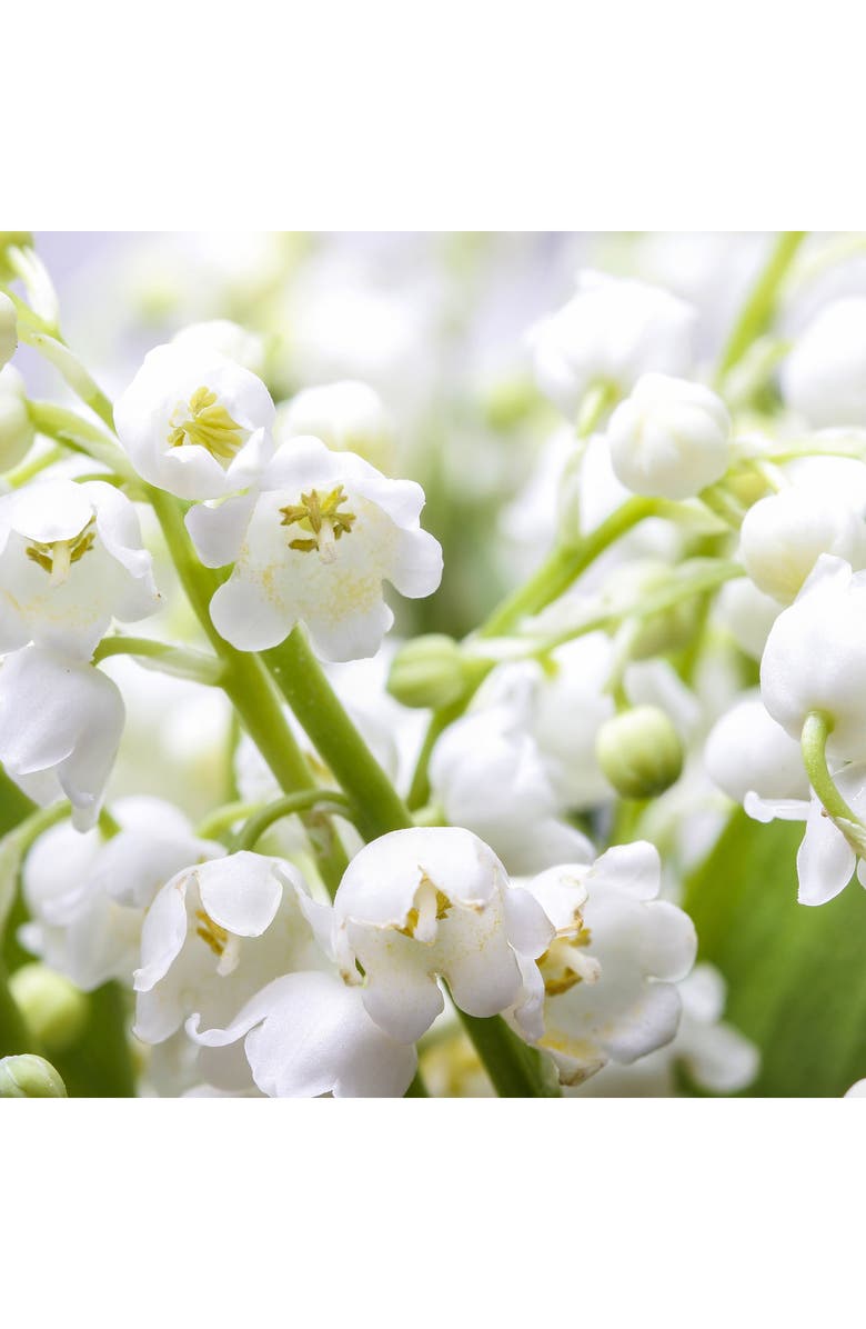 Donna Karan New York Donna Karan Cashmere Mist Purse Spray Set, Alternate, color, 