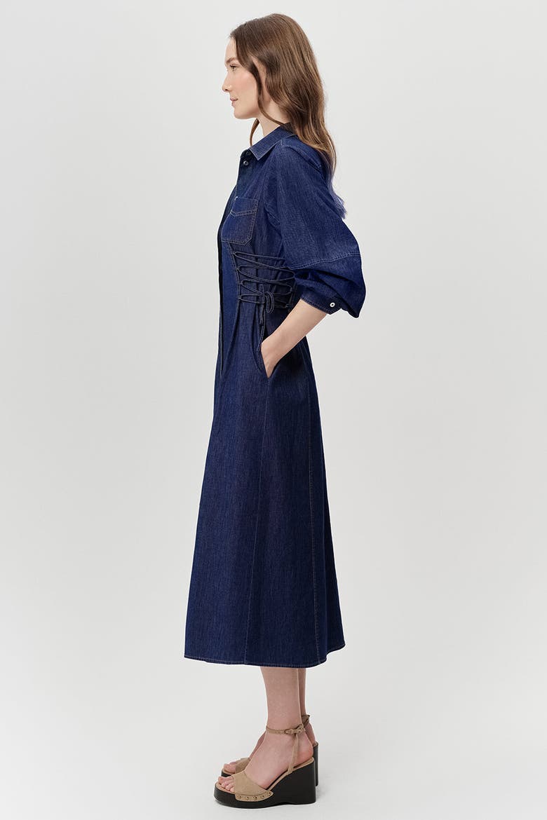 Arnaude Side Tie Long Sleeve Midi Dress, Alternate, color, Blue