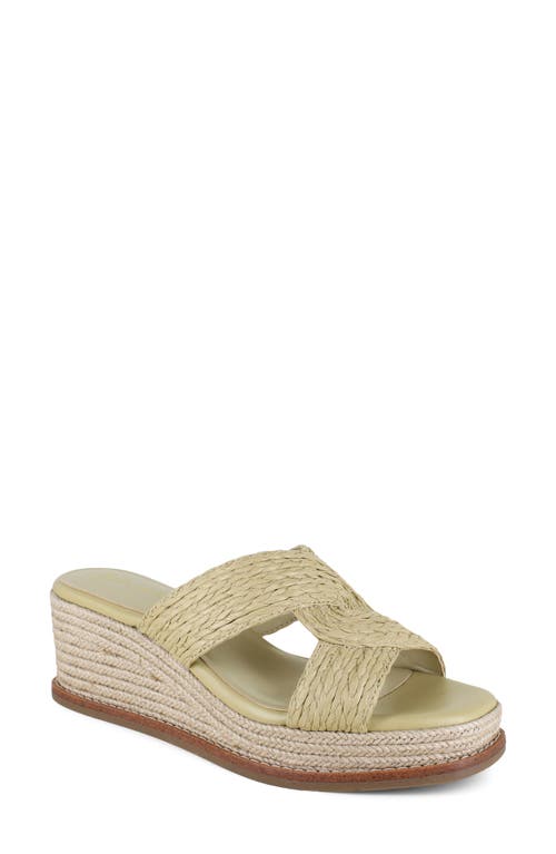 Splendid Daria Platform Wedge Sandal In Brown