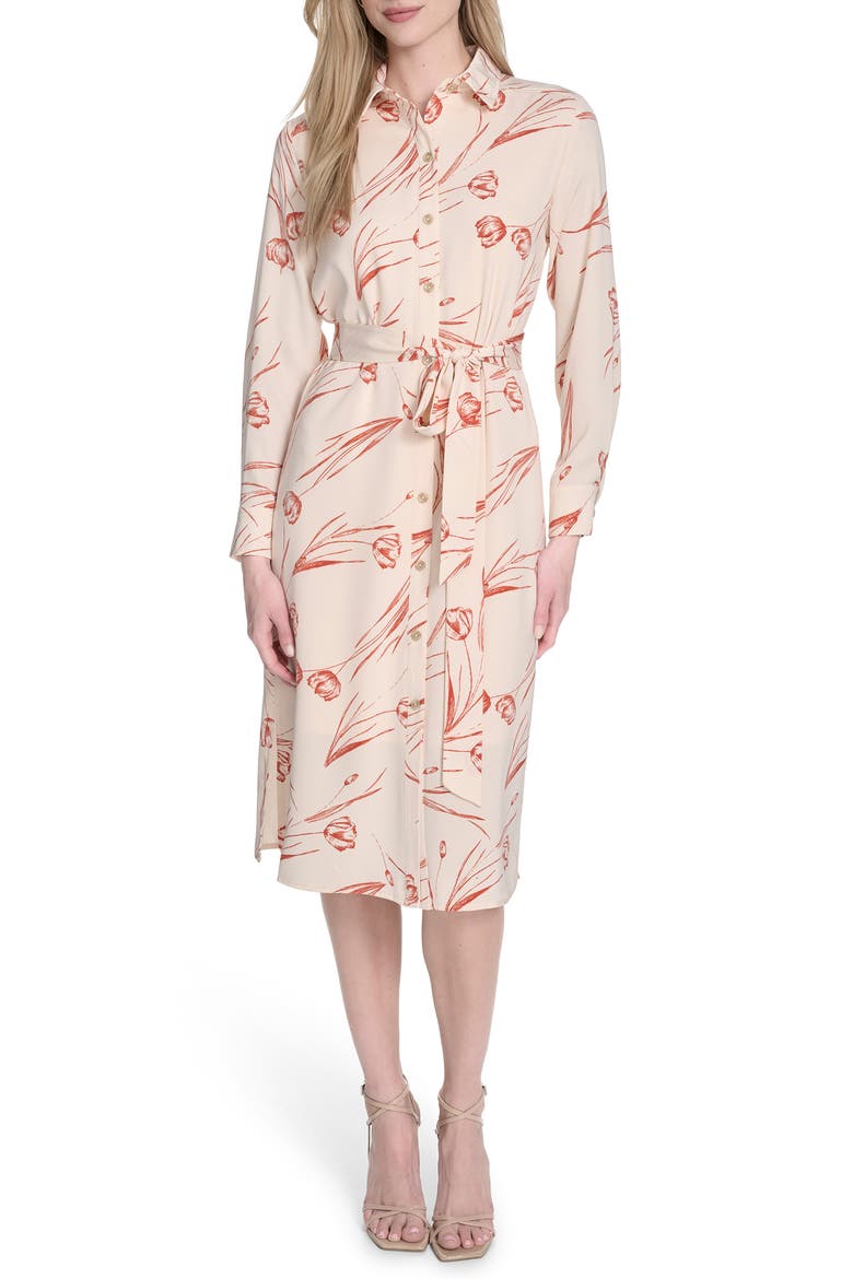 Long Sleeve Shirtdress, Main, color, ANTIQUE WHITE MULTI
