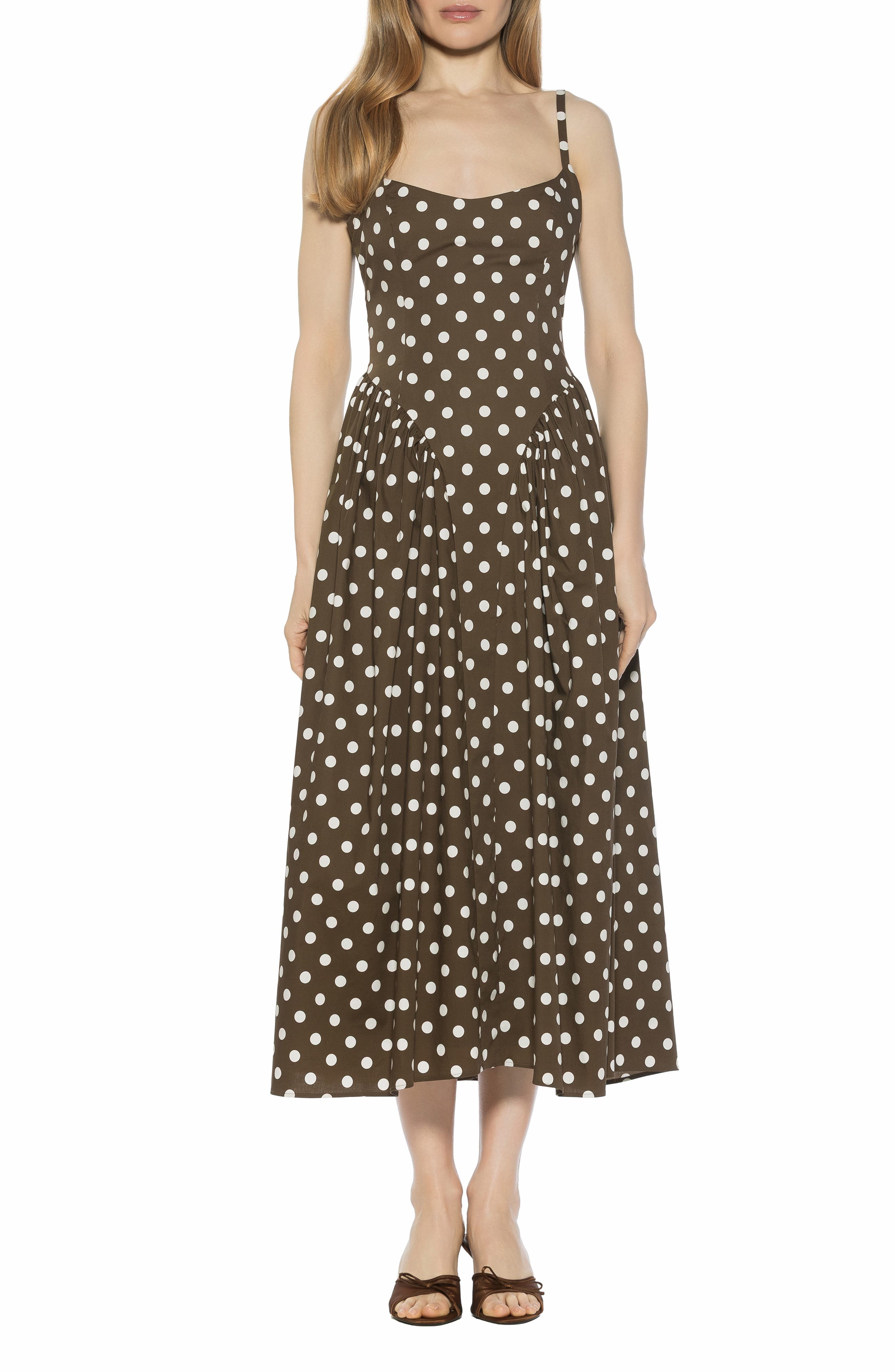 BROWN POLKA