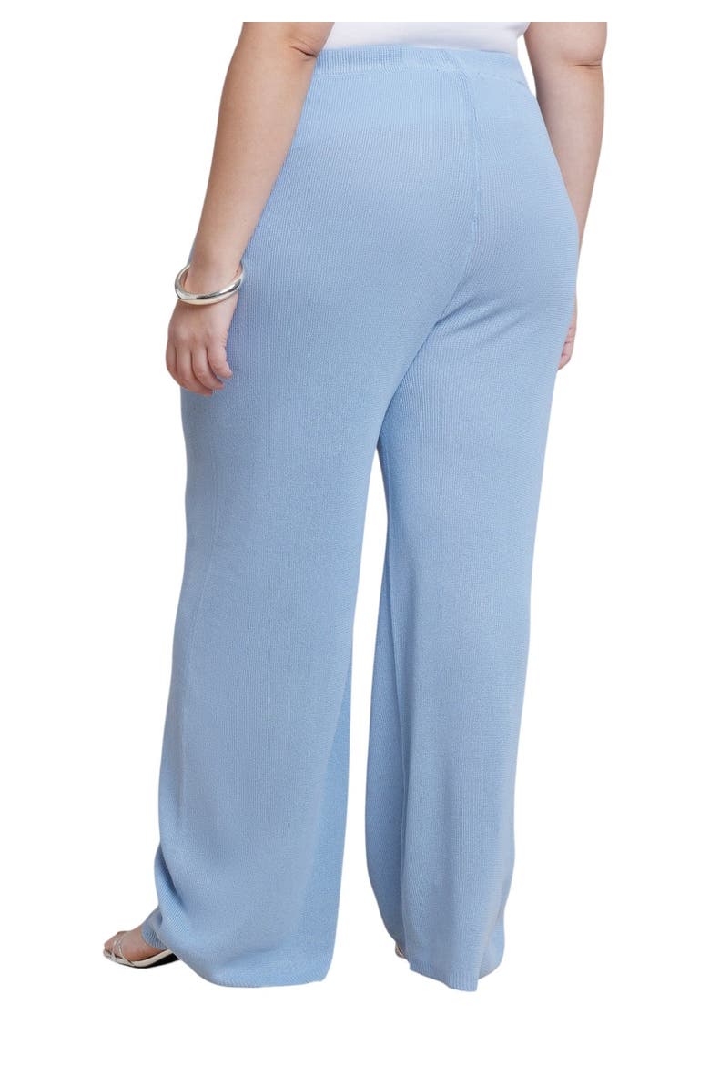 Semi Sheer Knit Pant, Alternate, color, ALLURE