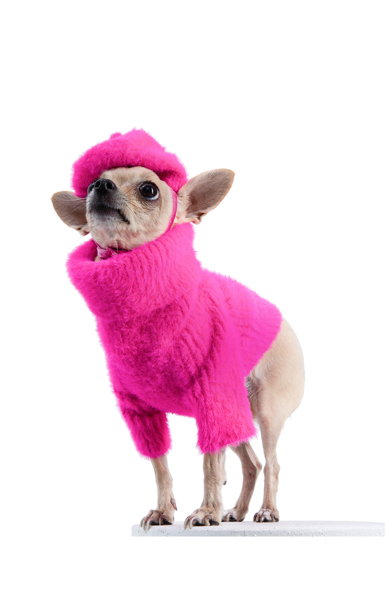 Moshiqa Paris Dog Sweater & Hat, Main, color, Pink