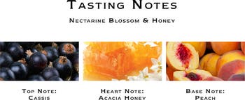 Nectarine Blossom & Honey Body & Hand Wash