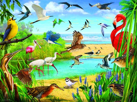 Florida Birds 1000 piece Jigsaw Puzzle for Adults