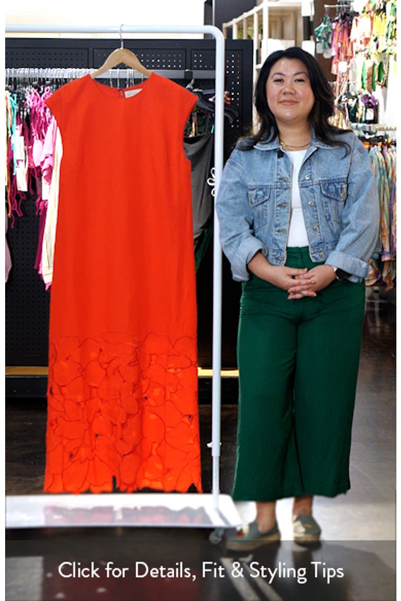 Sabette Embroidered Linen Blend Dress video