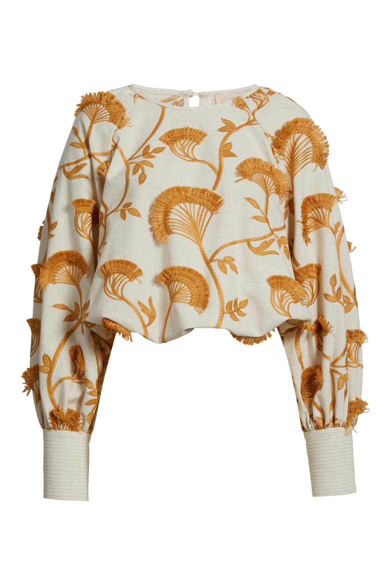Lenny Embroidered Long Sleeve Crop Top, Main, color, WHITE MULTI