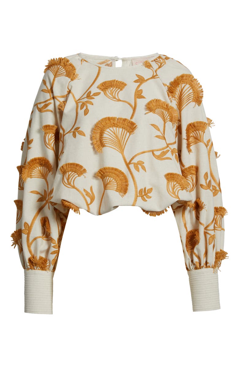 CIEBON Lenny Embroidered Long Sleeve Crop Top, Main, color, 