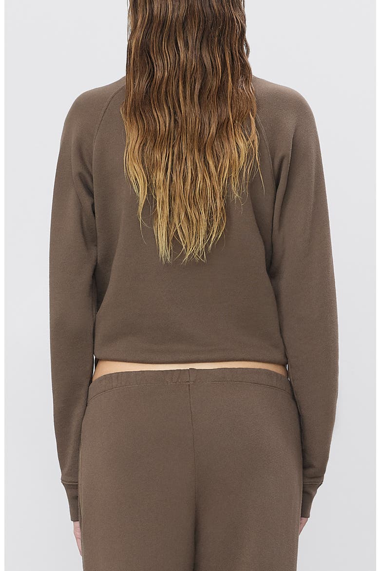 Shrunken V-Stitch Raglan Sweatshirt, Alternate, color, MUSHROOM