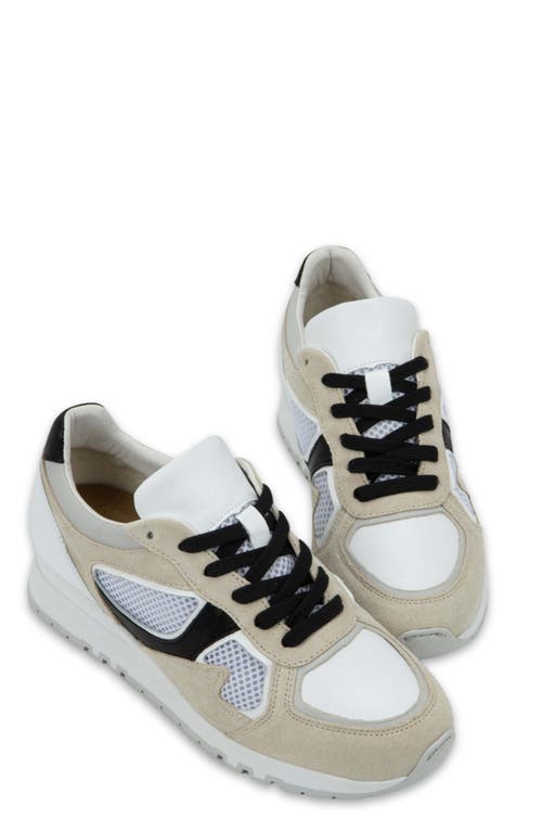 Naot Collins Sneaker In Neutral