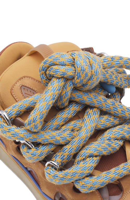 Lanvin Curb Sneakers In Leather With Snake Laces In Camel
