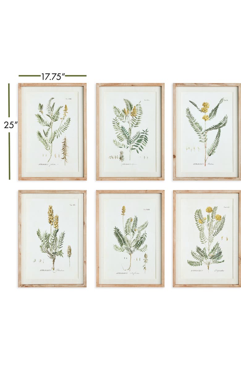 Napa Home & Garden Mid-Summer Blooms Prints Set of 6, Alternate, color, Green