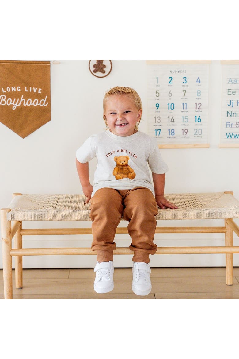 Cozy Teddy Short Sleeve T-Shirt, Alternate, color, Natural Heather