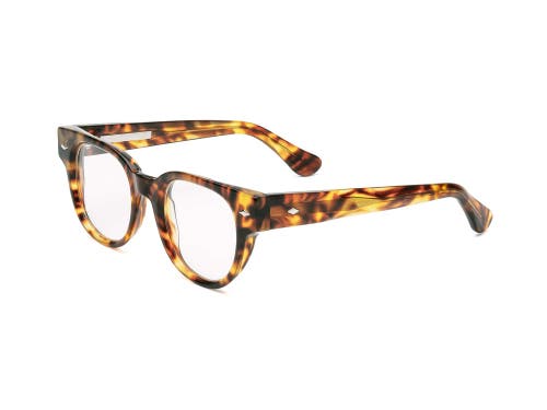 Caddis Dohbro | Reading Glasses In Brown