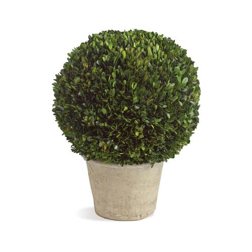 Napa Home & Garden Napa Home And Garden 12in Ball In Pot In Green