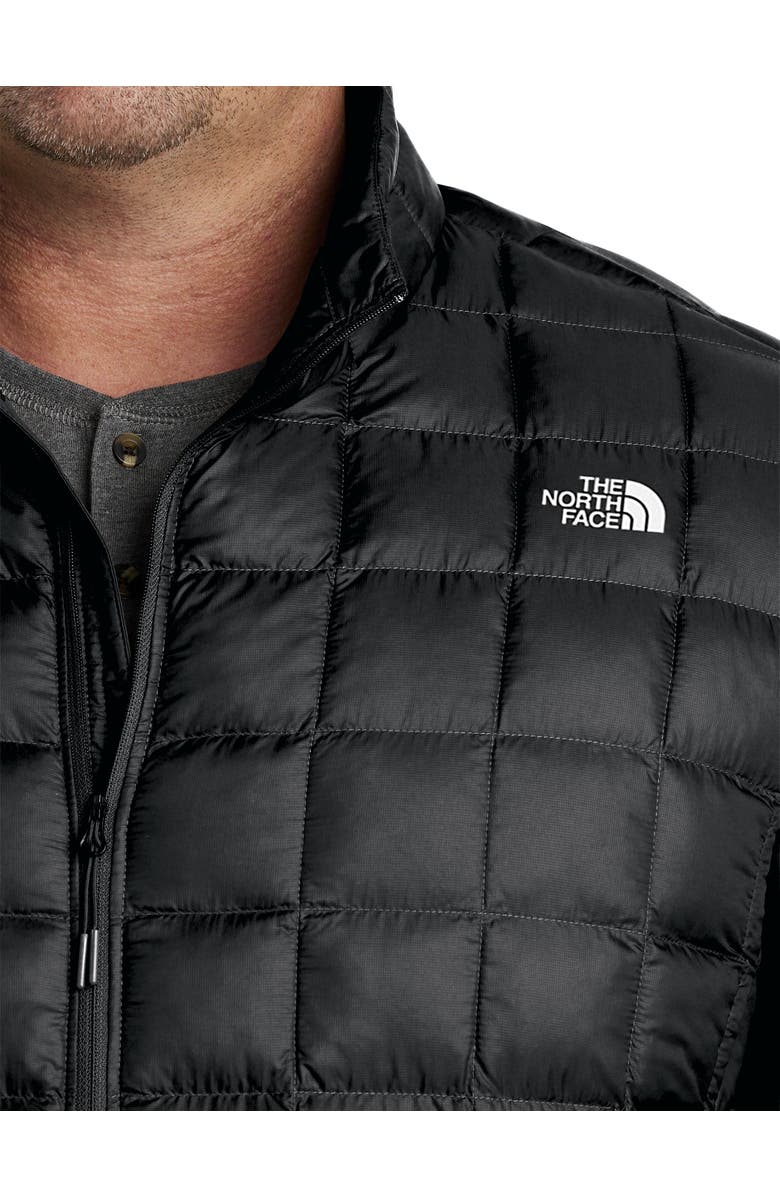 The North Face Big & Tall ThermoBall Eco Jacket 2, Alternate, color, Black