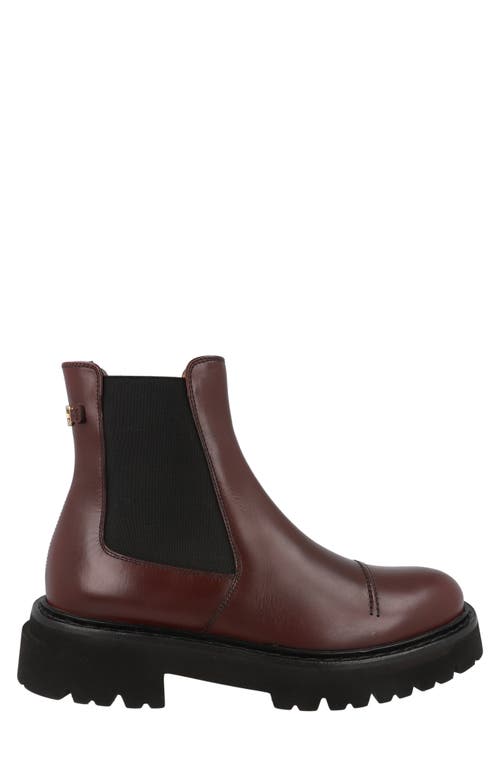 Ferragamo George 2 Chelsea Boots In Brown