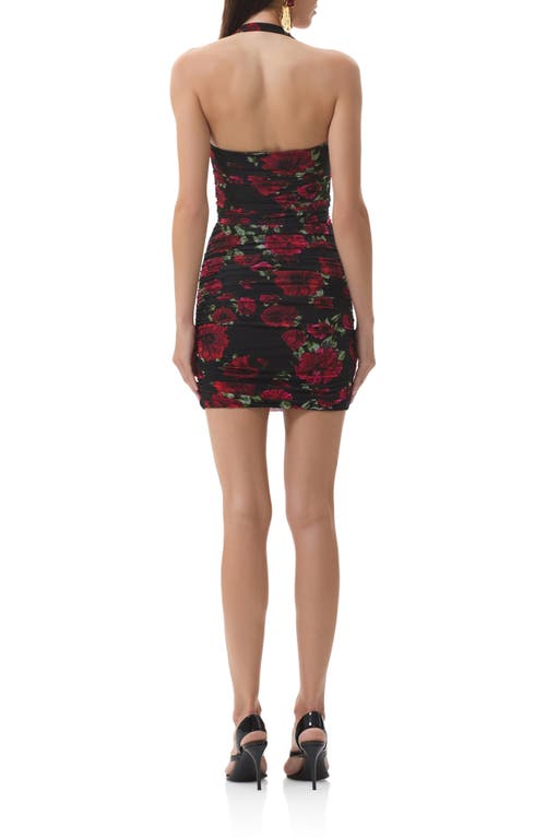 Afrm Bonnie Halter Neck Mesh Minidress In Multi