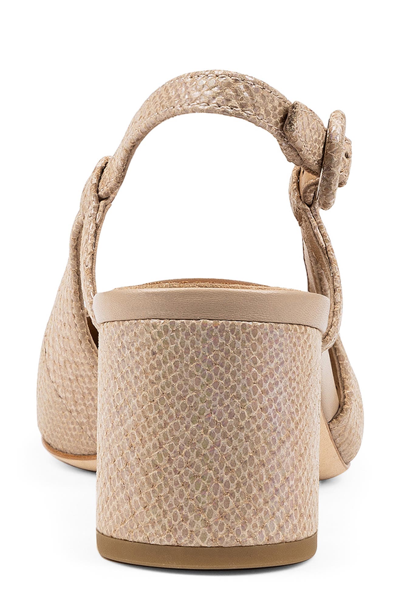 Donald Pliner Song Slingback Pointed Toe Pump, Alternate, color, 