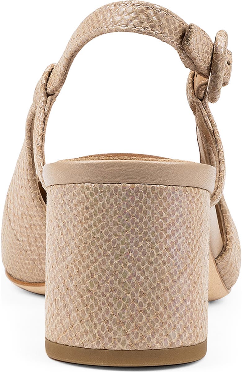 Donald Pliner Song Slingback Pointed Toe Pump, Alternate, color,