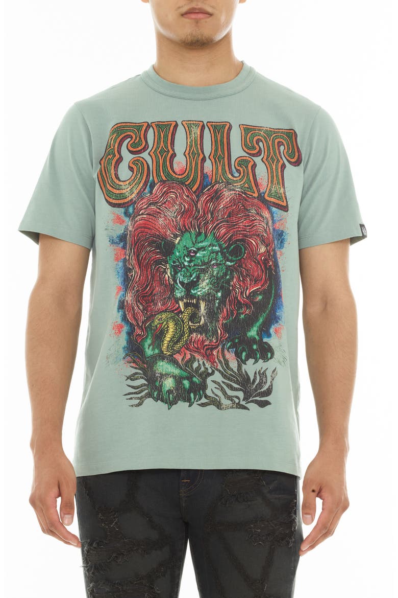 Cotton Graphic T-Shirt, Main, color, GRANITE GREEN