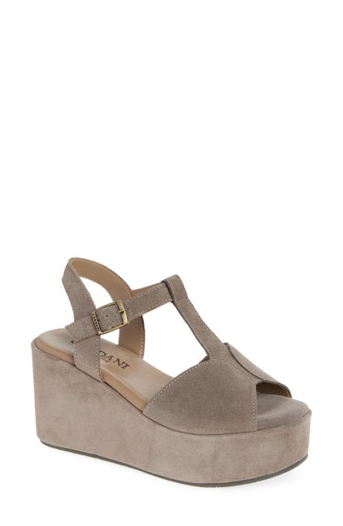 Cordani Jaycee Platform Sandal In Brown
