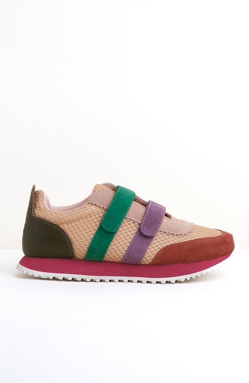 Charlotte Stone Conway Sneaker In Multi