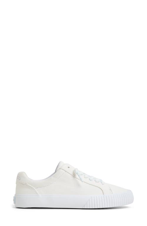Sperry Bermuda Ltt Sneaker