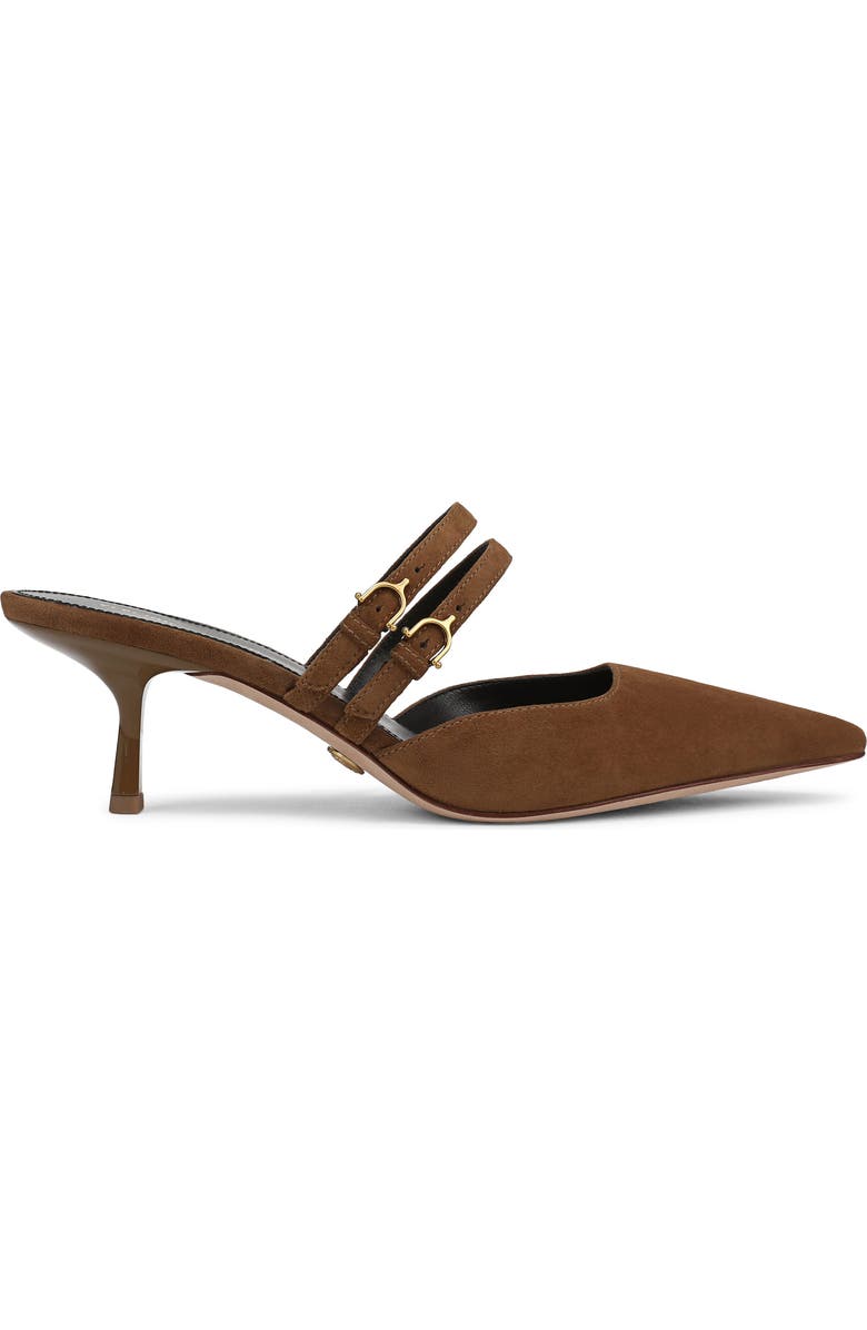 Veronica Beard Corrie Pointed Toe Pump, Alternate, color, Hazelwood